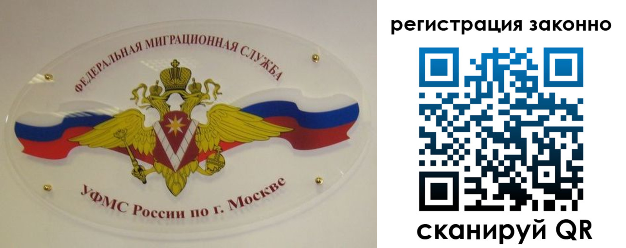 прописка для школы в Кировске
